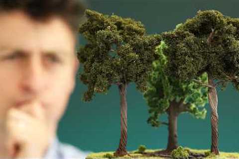 We don't know what's happening with forests