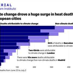 Scientists hail rapid estimate of climate change’s role in heat deaths as a first