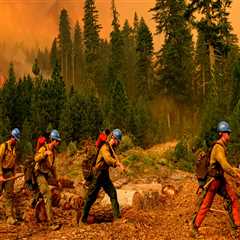 The Importance of Addressing Environmental Issues in Campaigns in Washington County, Oregon