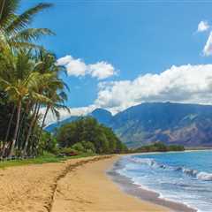 Ensuring the Well-Being of Senior Citizens in Honolulu County, Hawaii