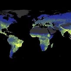 Earth’s Underground Fungi Networks Need Urgent Protection: Study