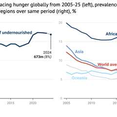 UN report: Five charts explaining the rise of global food insecurity