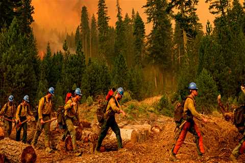 The Importance of Addressing Environmental Issues in Campaigns in Washington County, Oregon