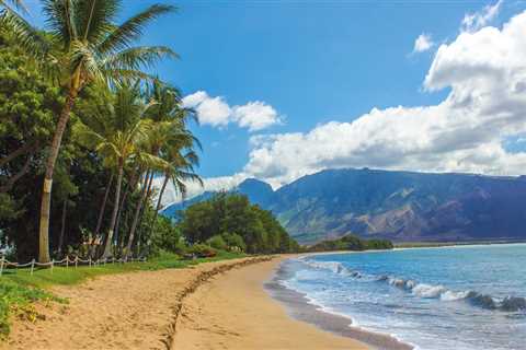 Ensuring the Well-Being of Senior Citizens in Honolulu County, Hawaii