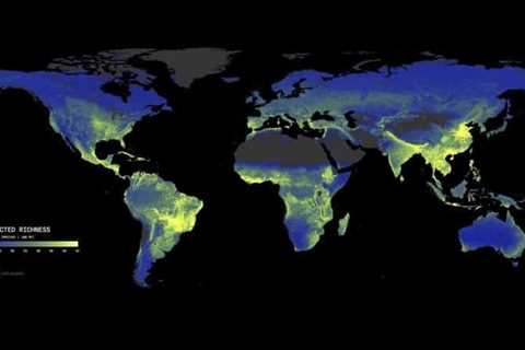 Earth’s Underground Fungi Networks Need Urgent Protection: Study
