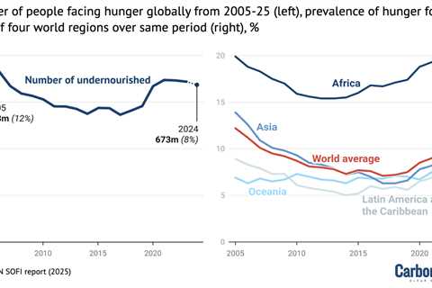 UN report: Five charts explaining the rise of global food insecurity
