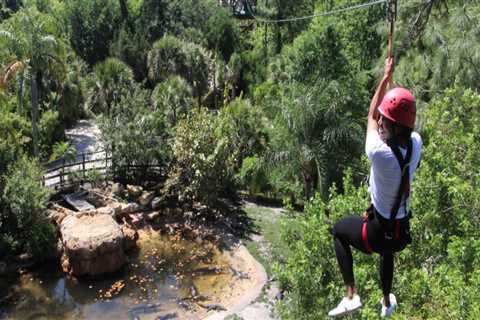 Discovering the Vibrant Community Events in Central Florida
