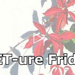Patient in a wheelchair with cerebral palsey | FEET-ure Friday