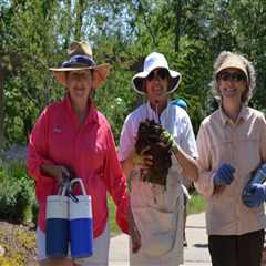Embrace Spring in Northwest Arkansas by Volunteering at Festivals