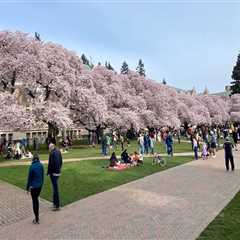 Celebrating Diversity: A Look at How Schools and Universities in King County, Washington Celebrate