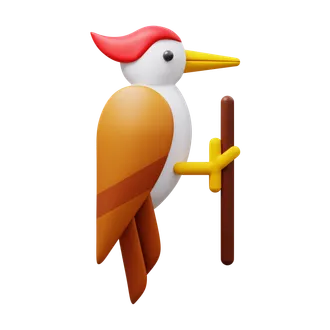 Woodpecker Pet Wiki: Tips for Growing Your Garden