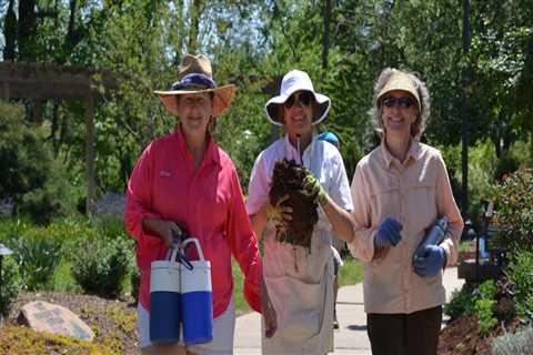 Embrace Spring in Northwest Arkansas by Volunteering at Festivals