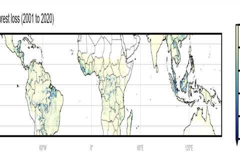 Warming due to tropical deforestation linked to 28,000 ‘excess’ deaths per year