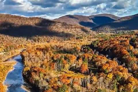 Four Hikers in New York’s Catskill Mountains Take Psychedelic Mushrooms, End Up Calling Rangers for ..