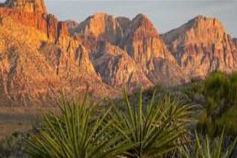 The Power of Grassroots Organizing and Volunteer Efforts in Political Campaigns in Clark County,..