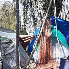 Addressing Affordable Housing and Homelessness in Hall County, Georgia: An Expert's Perspective