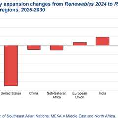 Global renewables goal slips off course after Trump, China moves