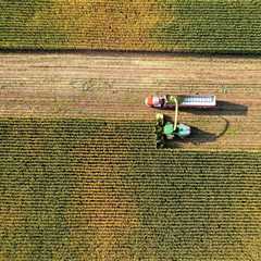 Q&A: How countries are using biofuels to meet their climate targets