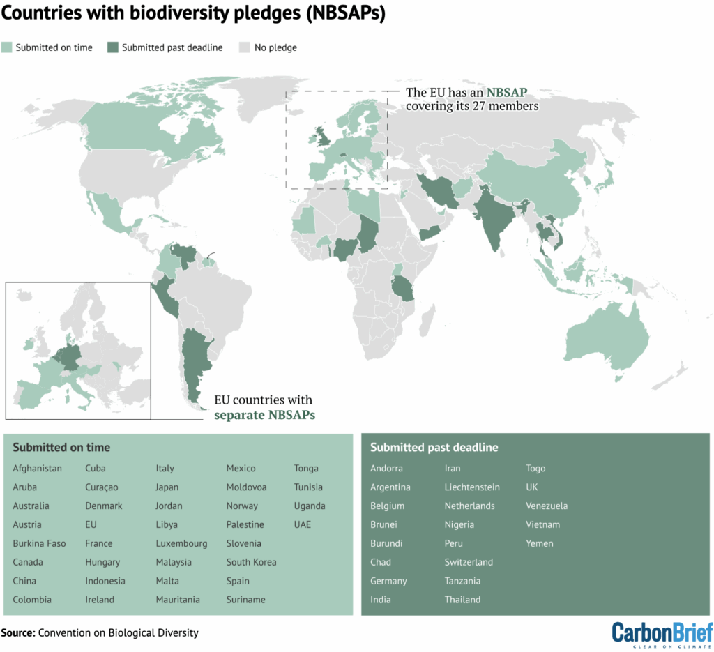 Analysis: Just 28% of countries have released nature pledges a year after UN deadline