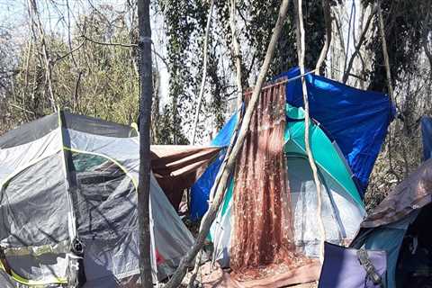 Addressing Affordable Housing and Homelessness in Hall County, Georgia: An Expert's Perspective