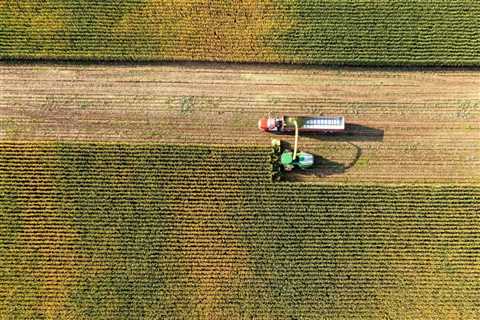 Q&A: How countries are using biofuels to meet their climate targets