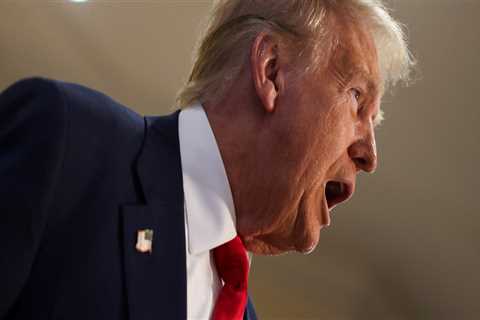 Appealing to a Diverse Electorate: Winning Elections in Northeastern Illinois