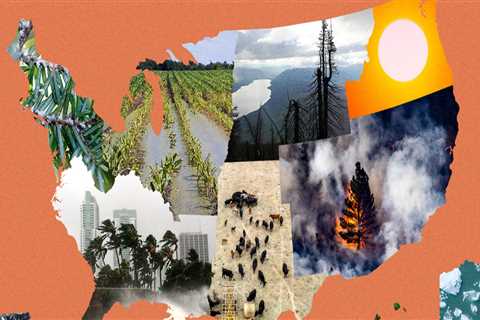 Navigating the Political Landscape of Northwest Florida