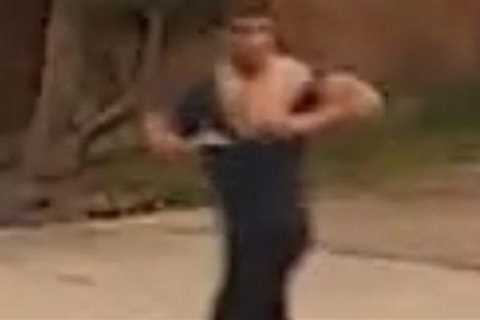 London: Afghan Given Asylum in UK Arrested for Stabbing to Death a Man Walking His Dog, Wounding..