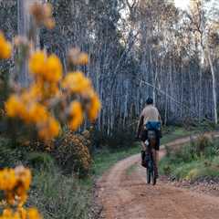 The Exciting World of Bike Festivals in Leon County, Florida