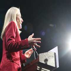 The Democratic Party's Winning Strategies in Northern Virginia