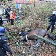 25,000 Violent Antifa Attack AfD Youth Group Convention in Giessen, Germany – Punching Journalists, ..
