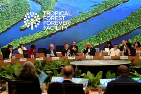 Investor action is crucial to maintaining progress on deforestation risk