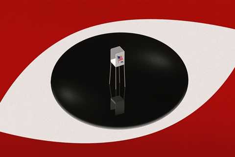 The Crucial Role of Campaign Staff and Volunteers in Southeast Texas Elections