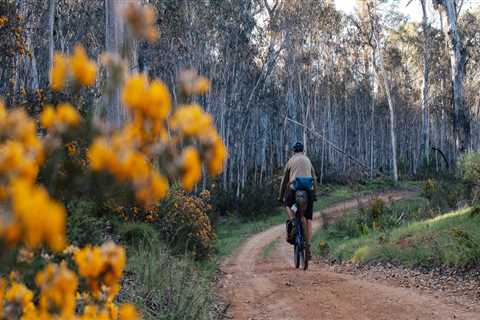 The Exciting World of Bike Festivals in Leon County, Florida