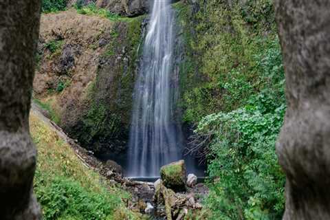 The Funding Landscape for Political Advocacies in Multnomah County, Oregon