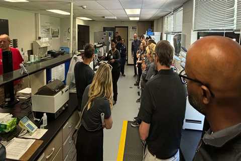 How to Get Involved in Political Advocacies in Fayetteville, Georgia