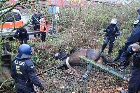 25,000 Violent Antifa Attack AfD Youth Group Convention in Giessen, Germany – Punching Journalists, ..