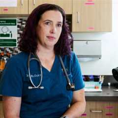 Anti-Vaxxers Are Now Denying Vaccinations to Their Pets