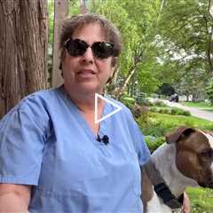 Dr Nail Nipper with Two Videos - Intro