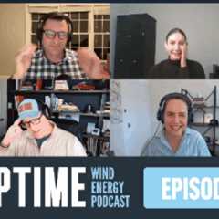 German Bird Study Finds 99% Avoid Turbines, SunZia Progress