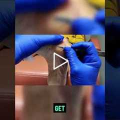 Dealing with Persistent Skin Bumps 🦶😬🔍 Here’s why trimming alone isn’t enough