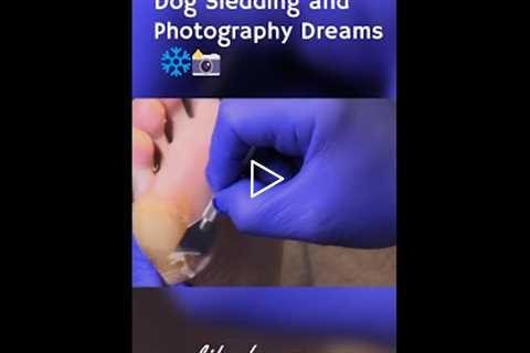 Dog Sledding and Photography Dreams ❄️📸