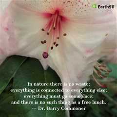 Earth911 Inspiration: There’s No Free Lunch in Nature