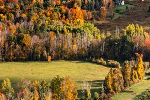 Essential Guide to Food Events Requiring Reservations in Western Massachusetts