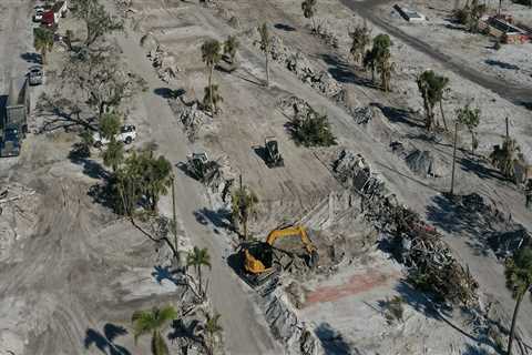 The Impact of Political Climate on Businesses and Industries in Southwest Florida