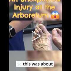 An Unexpected Injury at the Arboretum 😱
