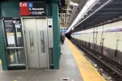 Man Dies After Being Shot in the Groin During Dispute on NYC Subway Platform