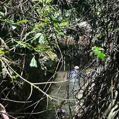 With Love: Living consciously in nature