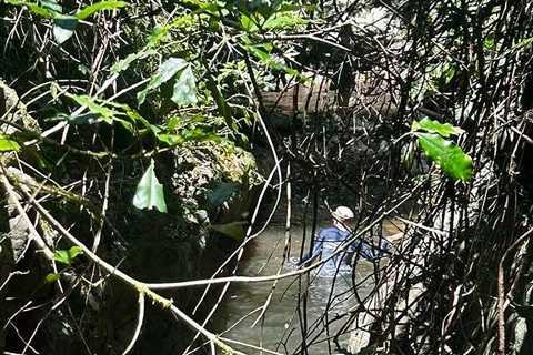 With Love: Living consciously in nature