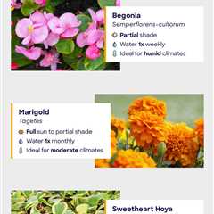 Infographic: Tips for an Environmentally Responsible, Low-Maintenance Yard